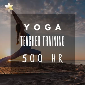 500 HR Yoga Teacher Training